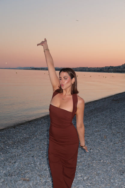 House of harlow brown dress