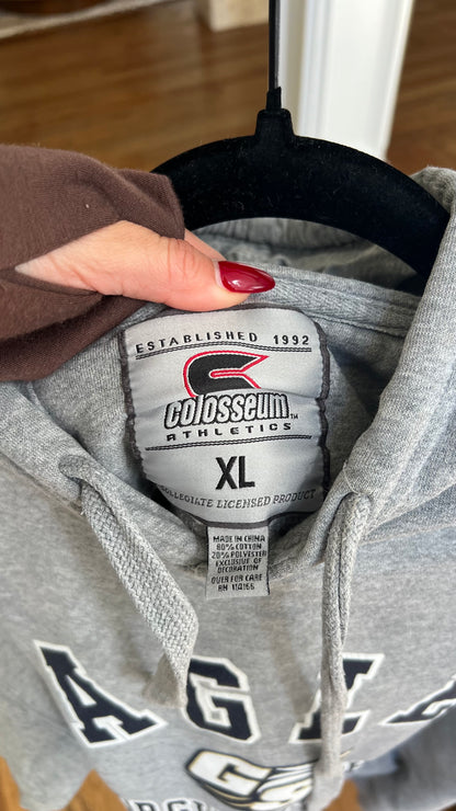 Eagles gray hoodie XL